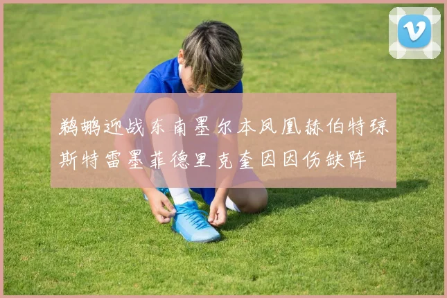 鹈鹕迎战东南墨尔本凤凰赫伯特琼斯特雷墨菲德里克奎因因伤缺阵