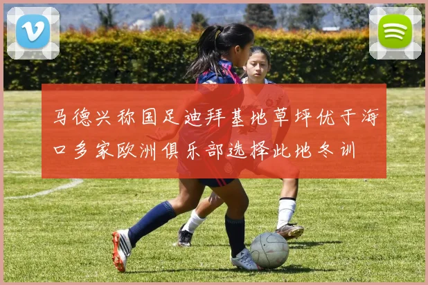 马德兴称国足迪拜基地草坪优于海口多家欧洲俱乐部选择此地冬训